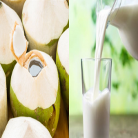 Es Kelapa Susu