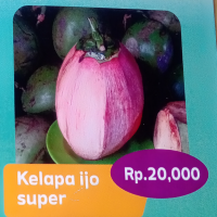Kelapa ijo super 