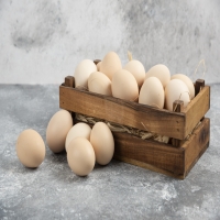TELOR 1 KG