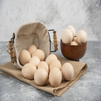 TELOR 1/2 KG