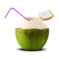 Kelapa Muda Utuh