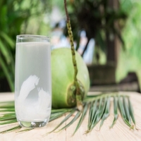ES KELAPA GULA PUTIH