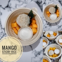 Mango Sticky Rice PO (H-2)