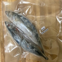 Ikan Layang