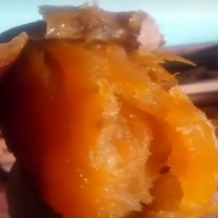 Mateng legitttt merekahh