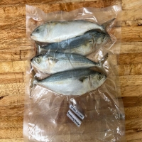 Ikan Kembung Banjar