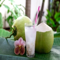 Kelapa Muda Utuh 