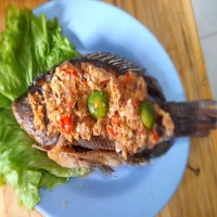PECAK KENCUR NILA