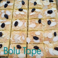 BOLU TAPE PO (H-1)