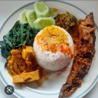 Nasi lele