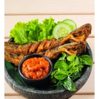 Pecel lele 