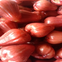 RUJAK JAMBU AIR