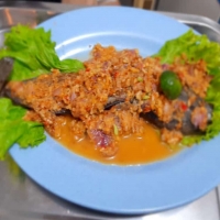 PECAK KENCUR LELE